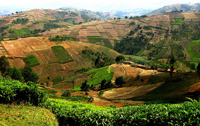 http://blog.cifor.org/wp-content/uploads/2011/12/africa-patched-landscape.jpg
