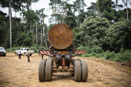 As part of Cameroon’s formal logging sector, this concession in the south of the country must comply with sustainability requirements – yet the informal sector remains poorly regulated. Ollivier Girard/CIFOR.