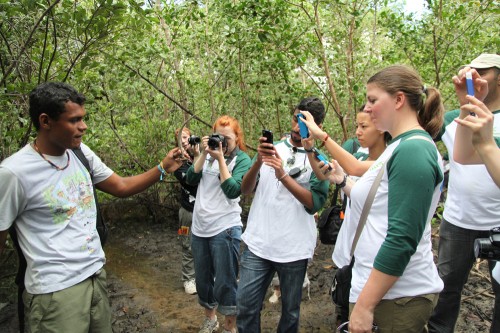 Youth ambassadors map the mangroves in Bahia, Brazil, by uploading photos and reports of different species of animals and plants they found. Qatar Foundation International