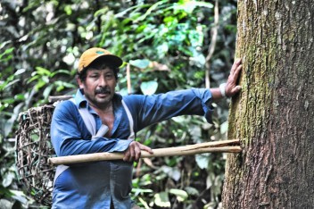 Con frecuencia los pequeños agricultores y las comunidades no cosechan los beneficios económicos de los bosques maderables debido a obstáculos normativos. Fotografía de Richard Vignola
