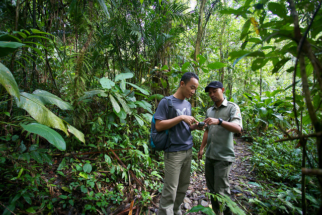 CIFOR reasercher, Age Kridalaksana and a national park officer discuss where to set up the camera trap. Mokhamad Edliadi/CIFOR