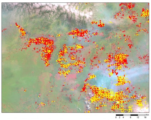 Figure 2. A snapshot over Riau showing the areas burned by the June 2013 fires (red) mapped using LANDSAT 8 imagery acquired on 25 June 2013 (background) with NASA’s fire alerts (yellow dots) detected between 1 and 30 June 2013.