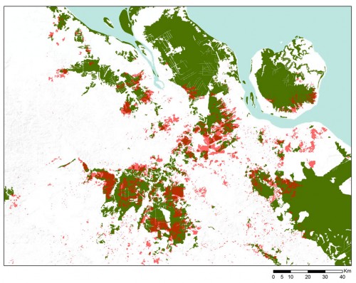 Figure 7. Areas that burned in June 2013 (red) and natural forest cover in 2007 (green). 