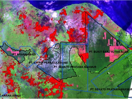 Figure 2: Remote sensing analyses of the Giam Siak Kecil-Bukit Batu biosphere reserve, indicating June 2013 fires in bright red, located inside forest reserves, planted forests and in transition zones. See here for more detail.